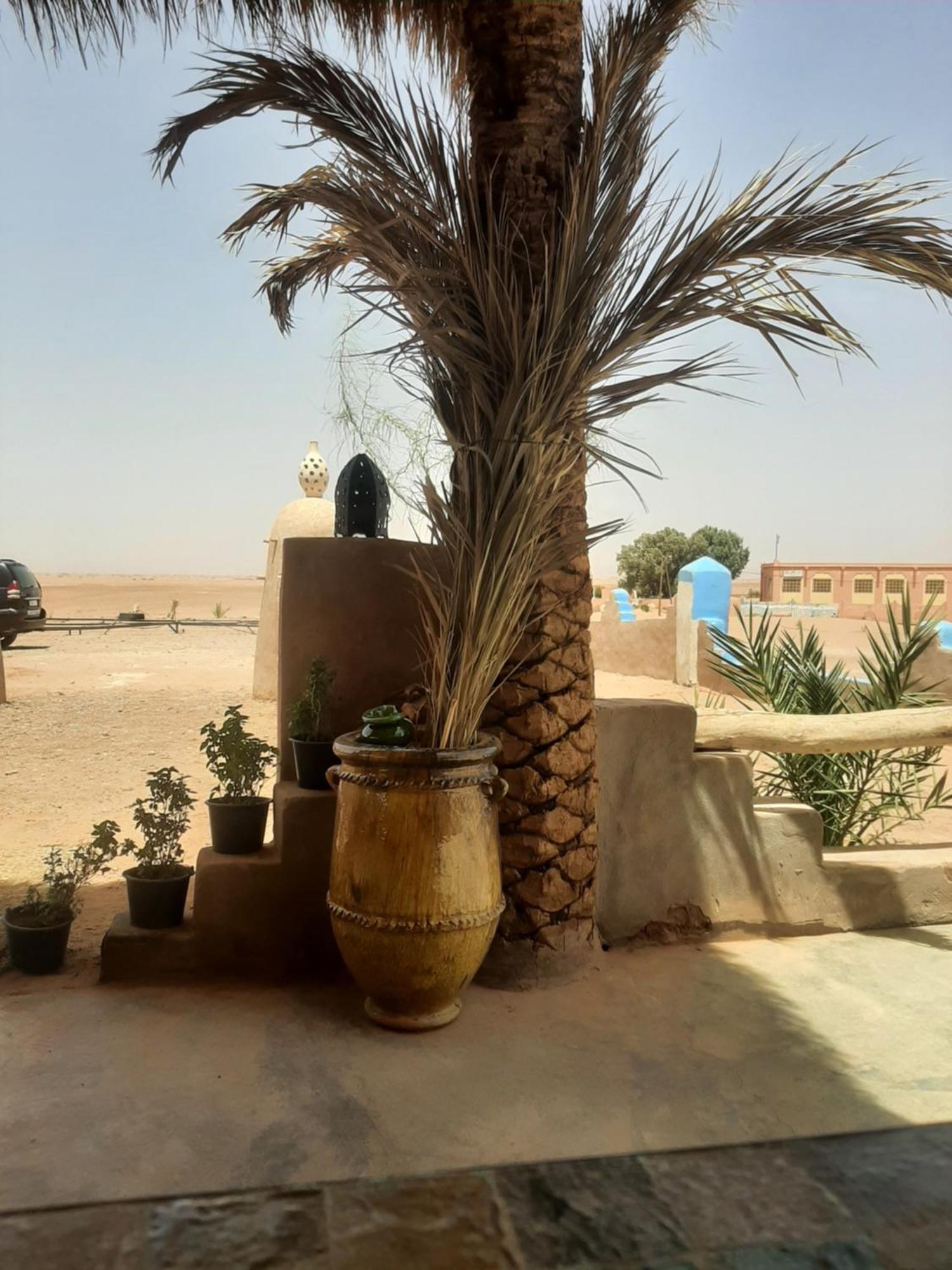 Auberge Kasbah Dar Sahara Tours 姆哈米德 外观 照片
